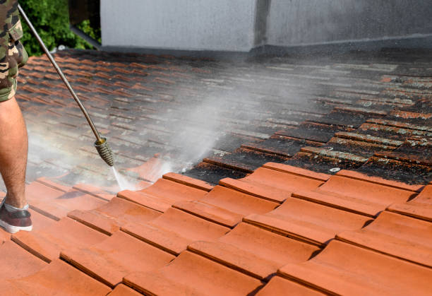 Best Exterior Home Cleaning  in Andrews, IN