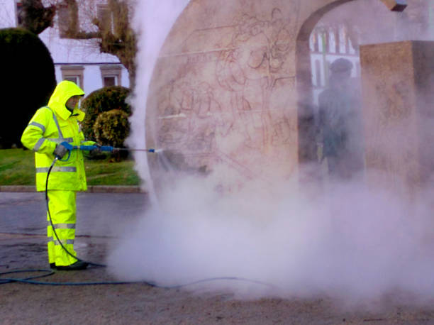 Best Roof Pressure Washing  in Andrews, IN