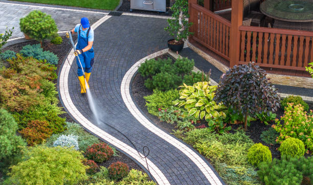 Best Roof Power Washing Services  in Andrews, IN