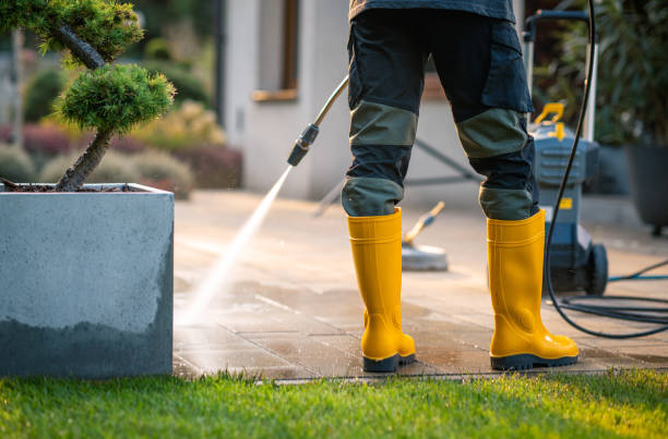 Best Roof Pressure Washing  in Andrews, IN
